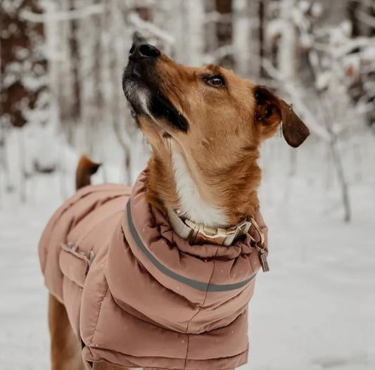 Canine Comfort's WeatherGuard