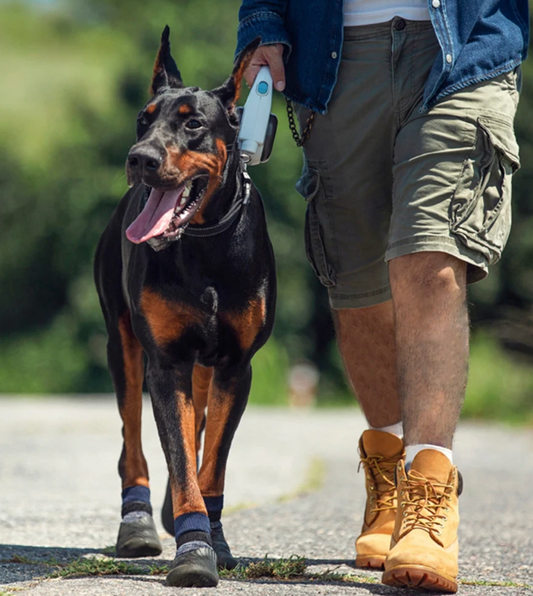 Canine Comfort's TrailPaws: Durable Dog Hiking Boots